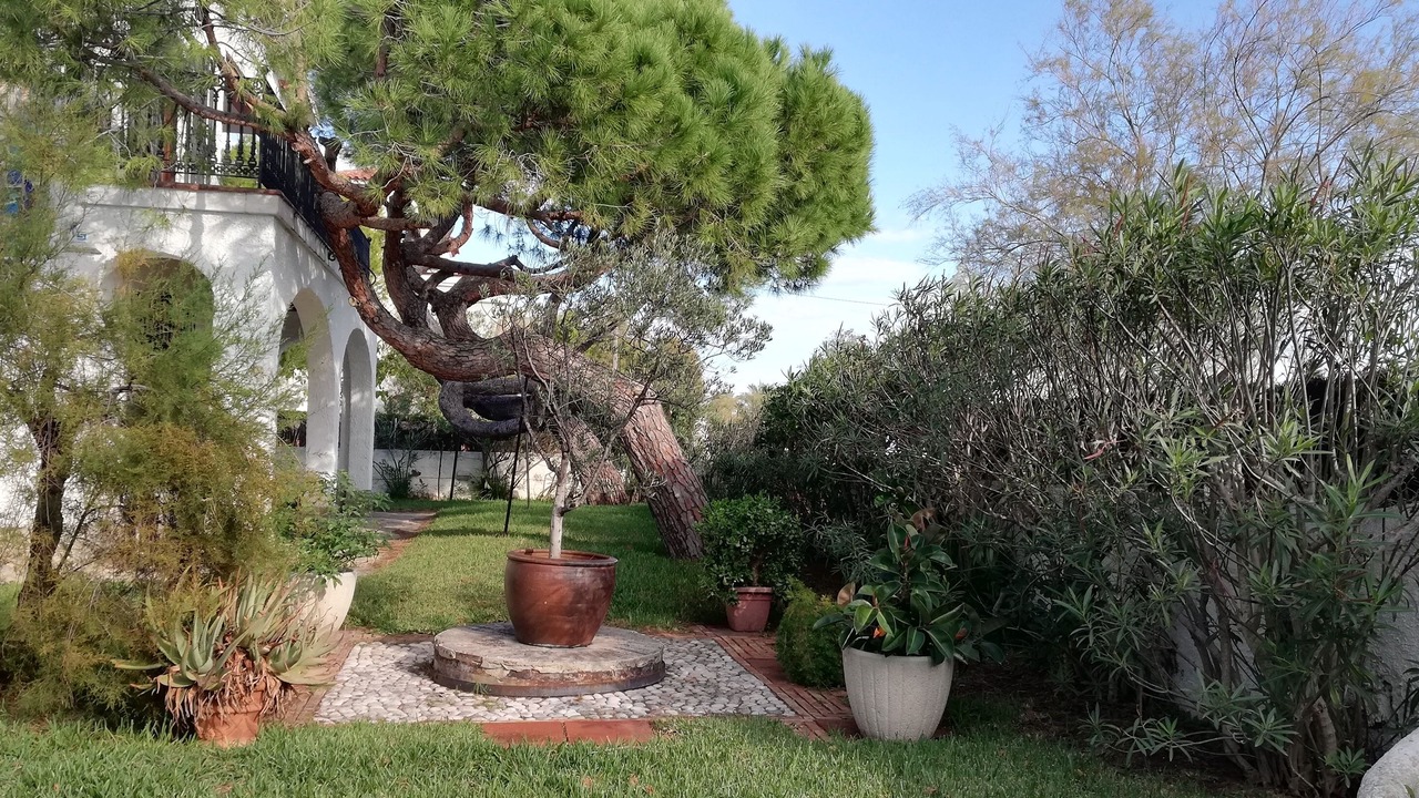 Photo of Outdoor in Comarruga
