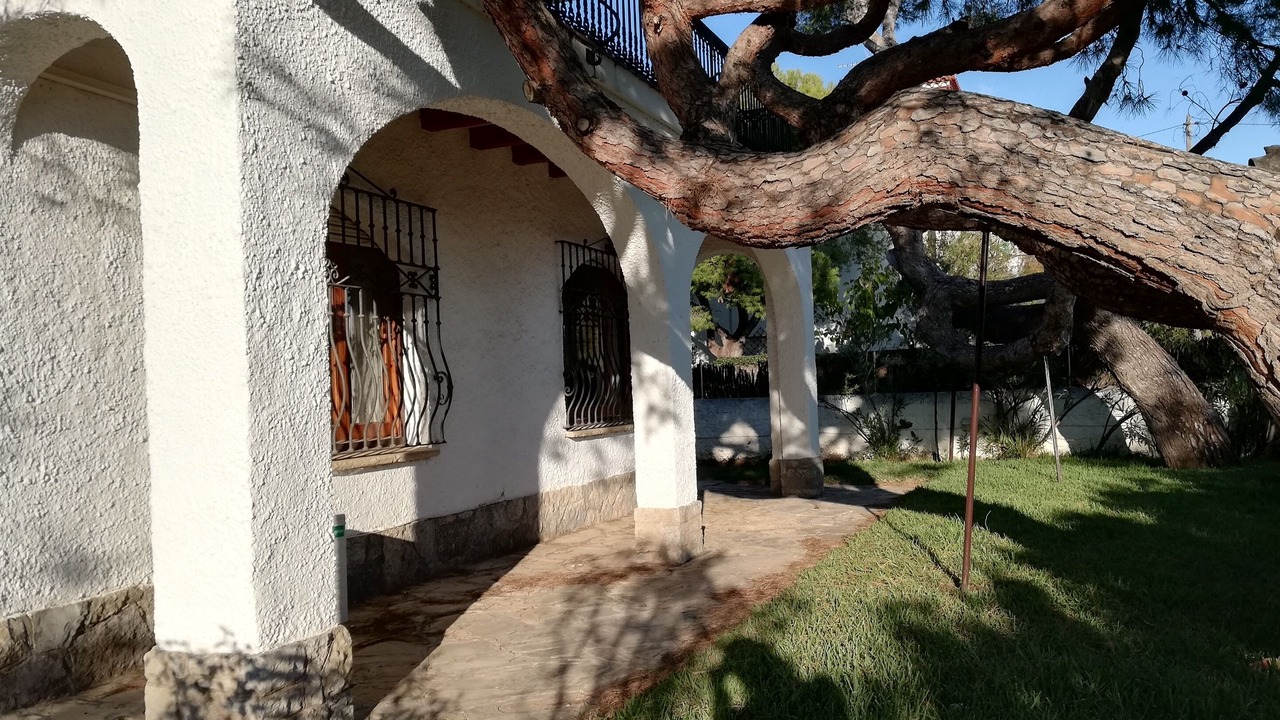 Photo of Outdoor in Comarruga