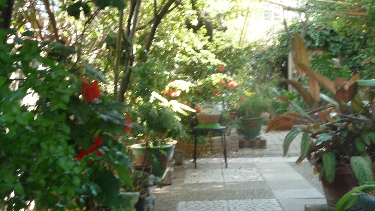 Photo of Outdoor in Millenaire