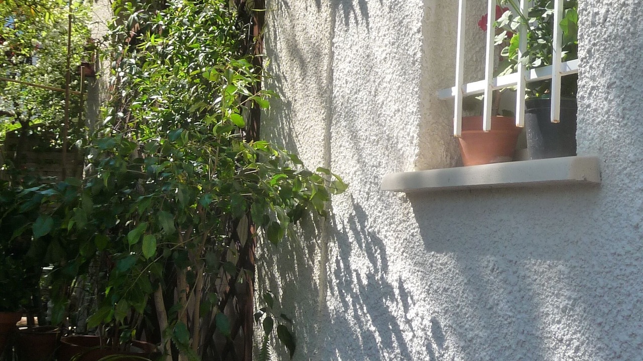 Photo of Outdoor in Millenaire