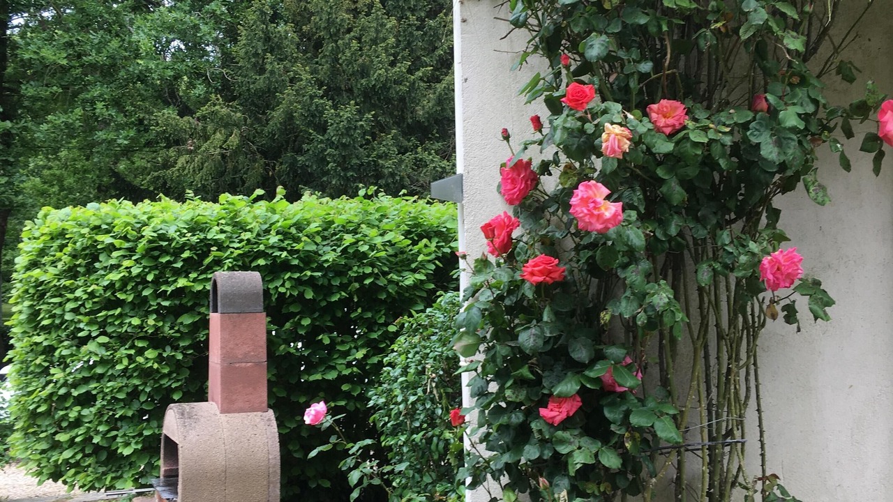 Photo of Outdoor in Serent