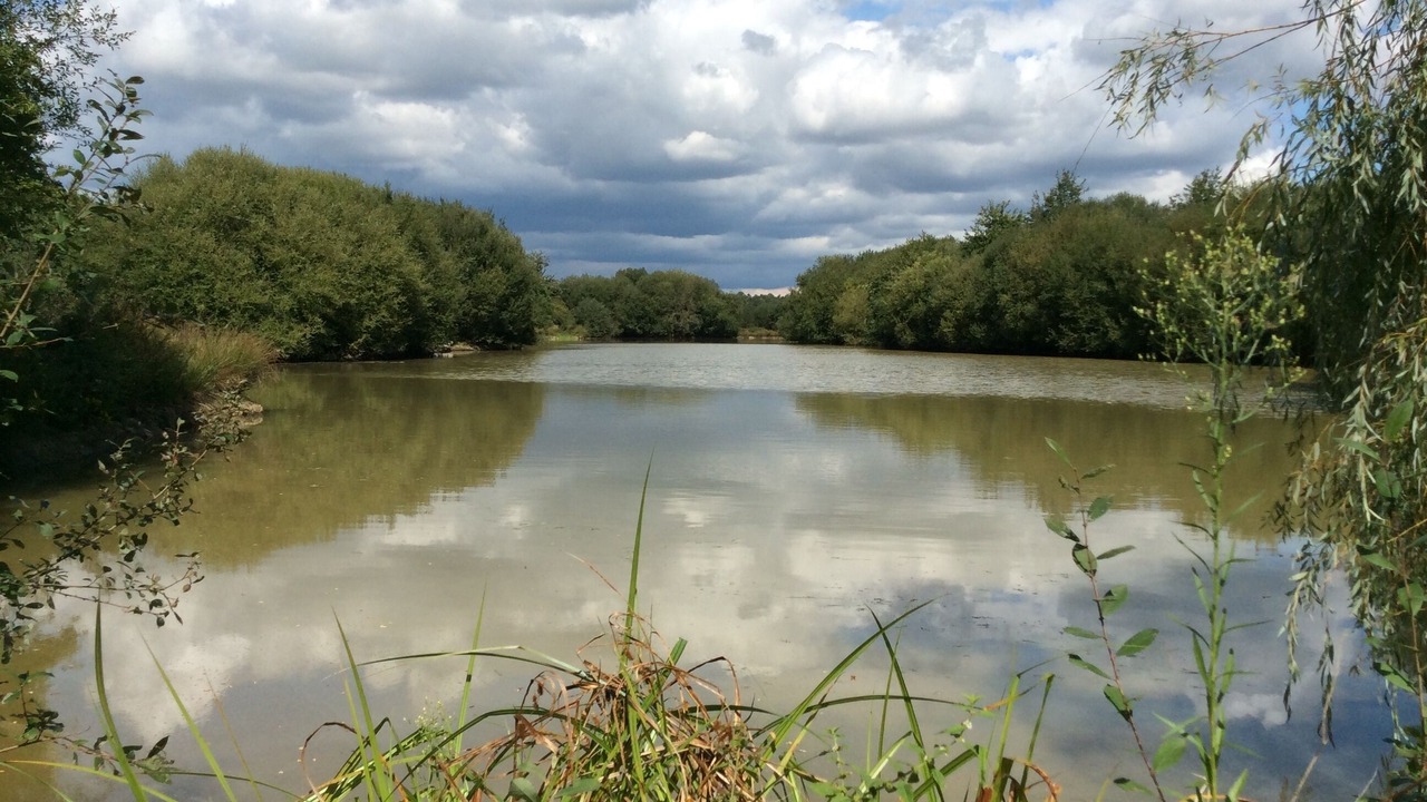 Photo of Outdoor in Saint-Aubin-des-Chateaux