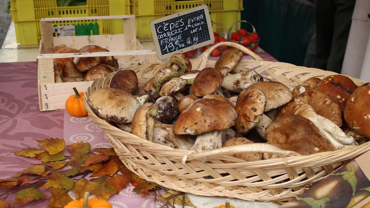 Photo of Others in Bagneres-de-Luchon