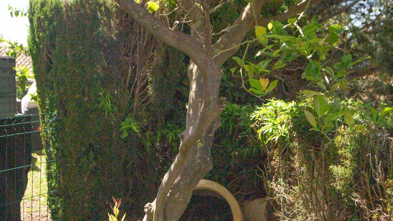 Photo of Outdoor in Marbella