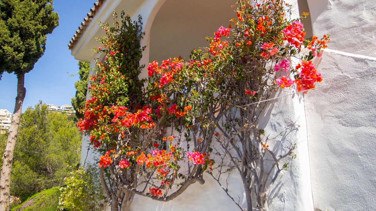 Photo of Outdoor in Marbella