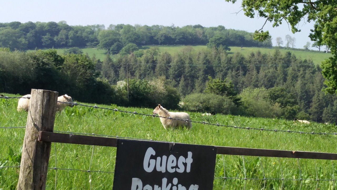 Photo of Others in Newchapel