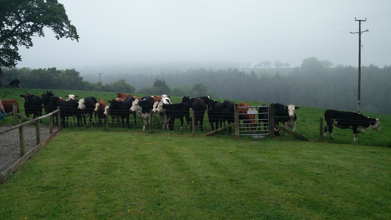 Photo of Others in Newchapel