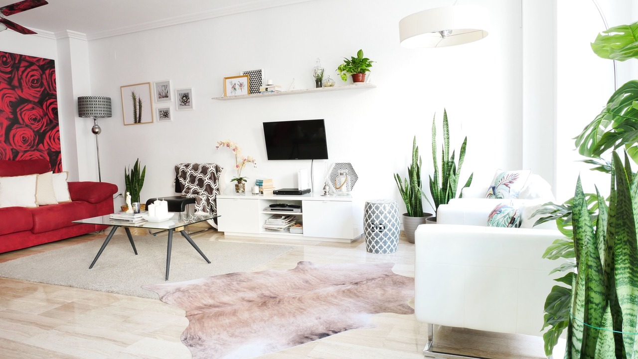 Photo of Livingroom in Alicante