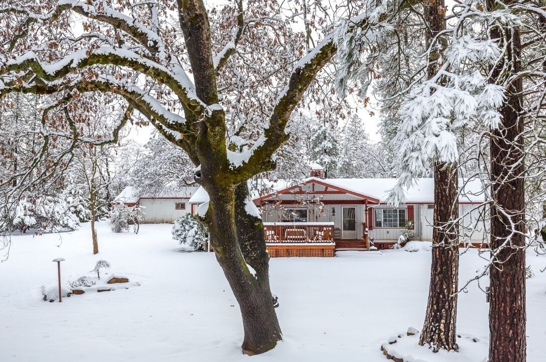 Photo of Others in Mariposa