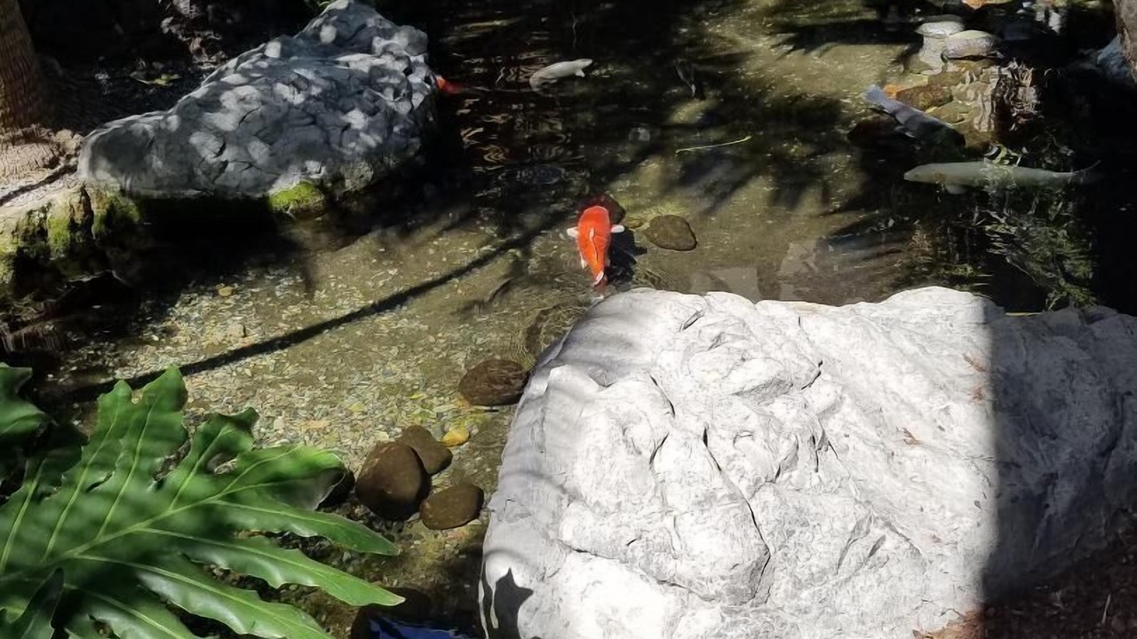 Photo of Others in San Diego