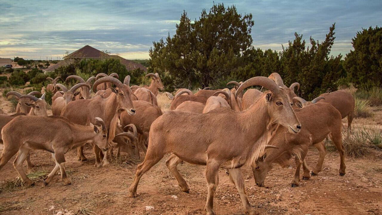 Photo of Others in Canyon