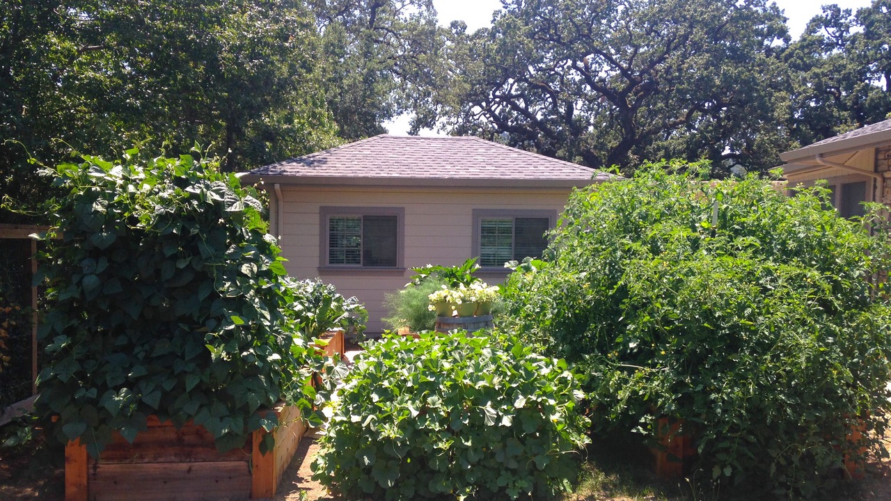 Photo of Outdoor in Santa Rosa