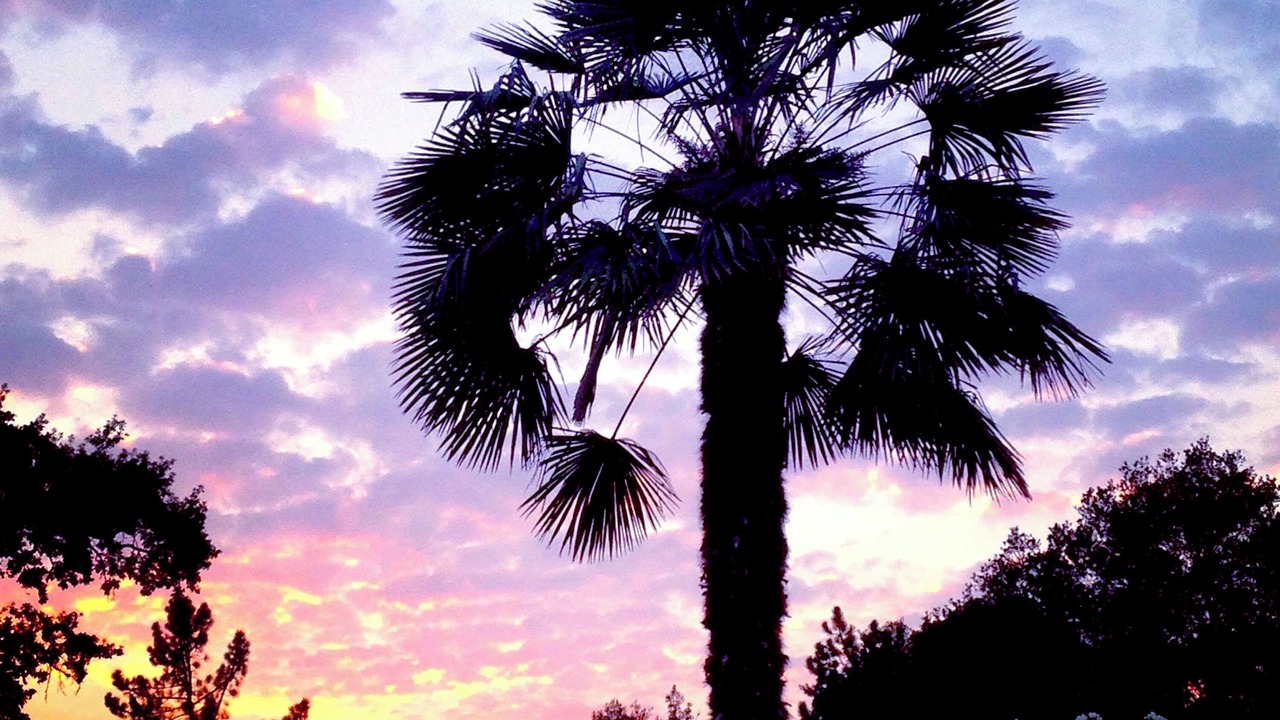 Photo of Outdoor in Santa Rosa