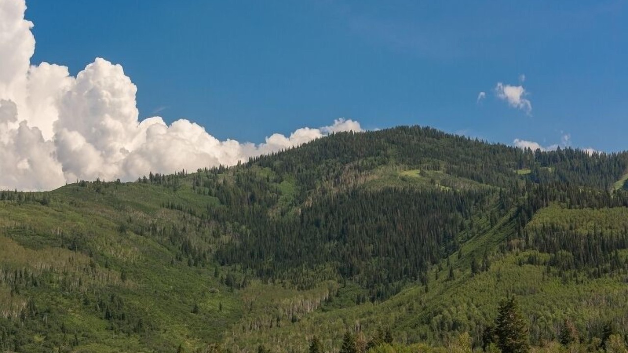 Photo of Others in Park City