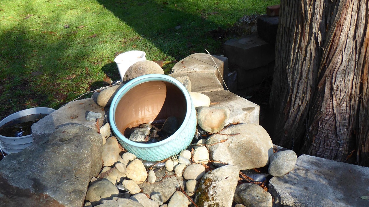 Photo of Outdoor in Lake Morton-Berrydale