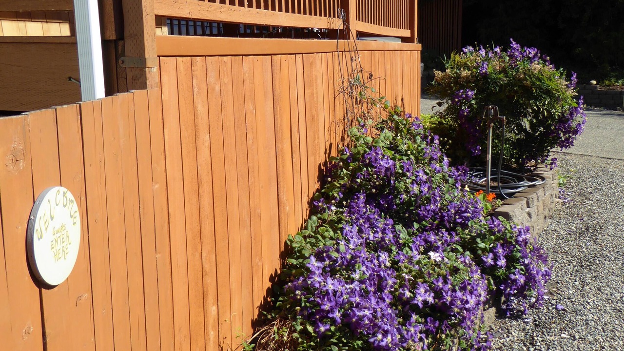 Photo of Outdoor in Lake Morton-Berrydale