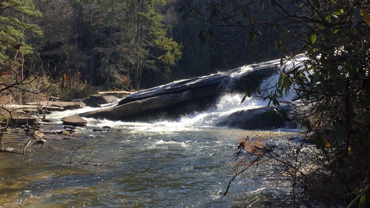Photo of Others in Pisgah Forest
