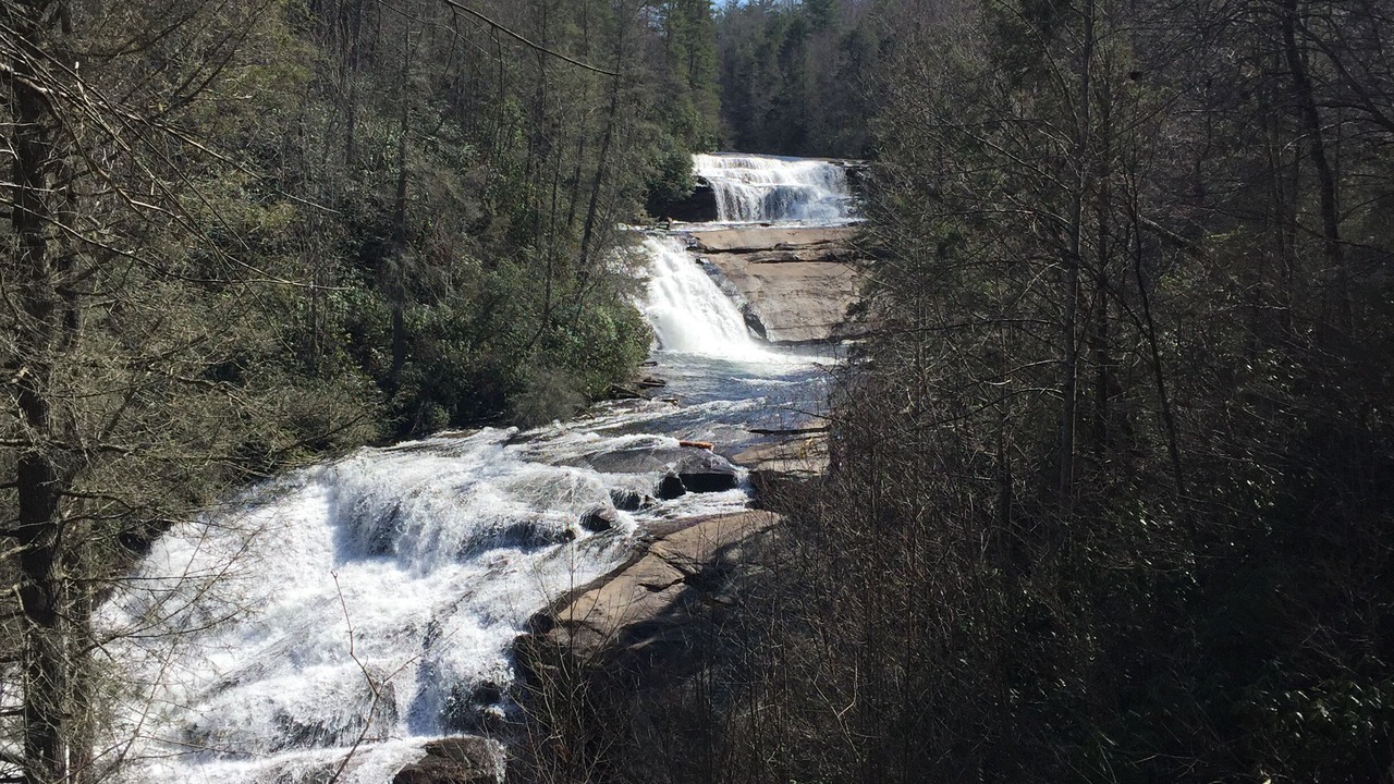 Photo of Others in Pisgah Forest