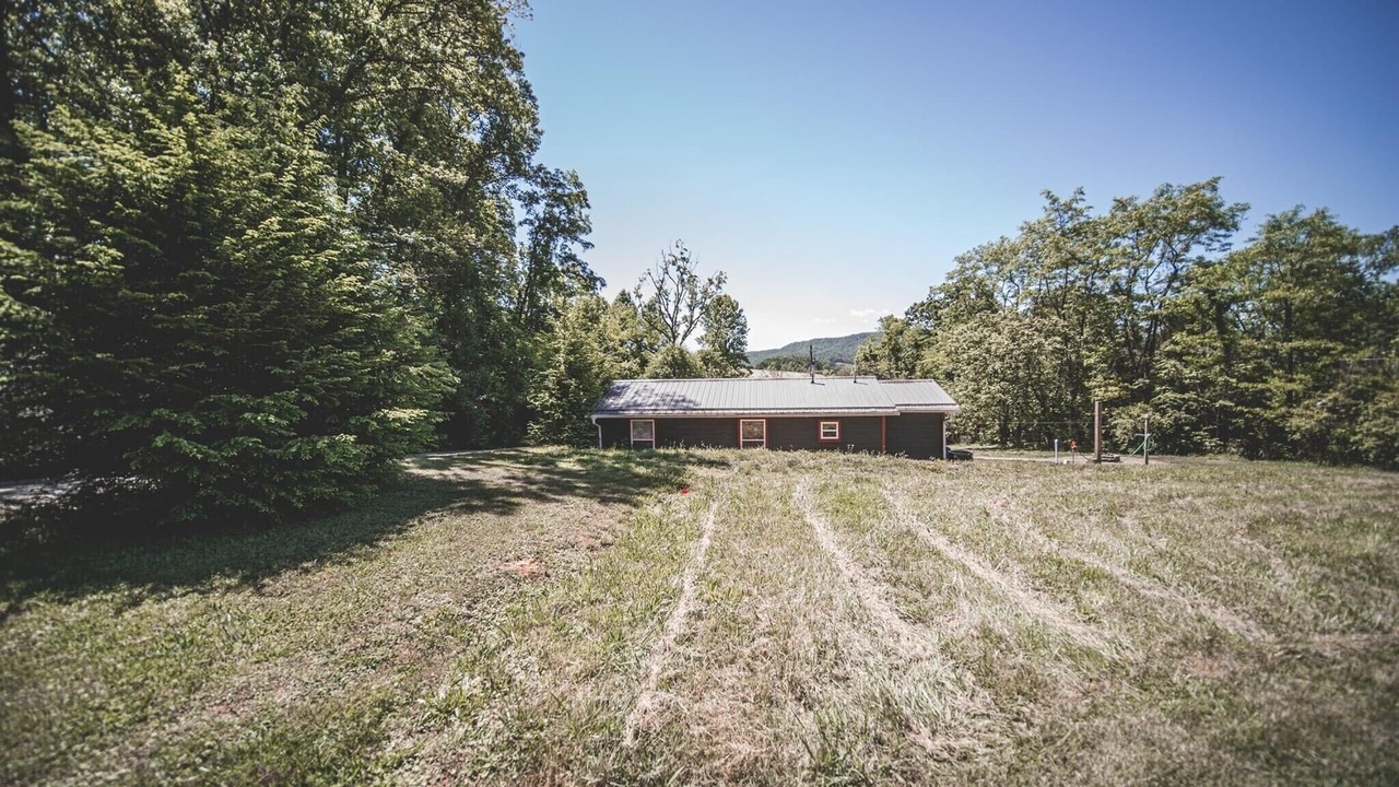 Photo of Outdoor in Pisgah Forest