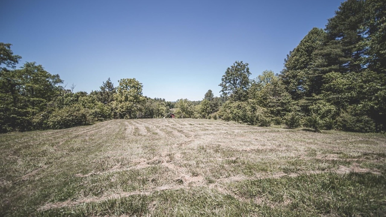 Photo of Outdoor in Pisgah Forest