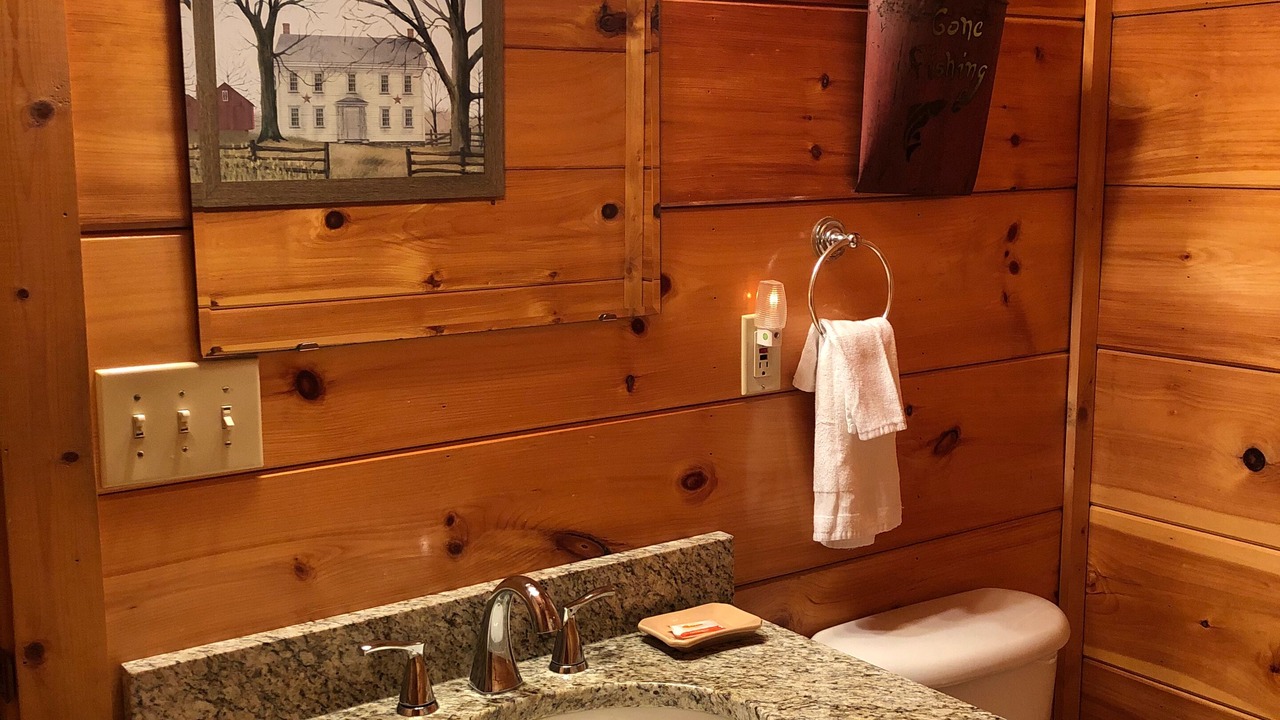 Photo of Bathroom in Caton