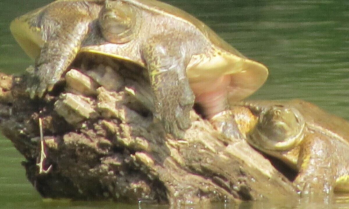 Photo of Others in Tidioute