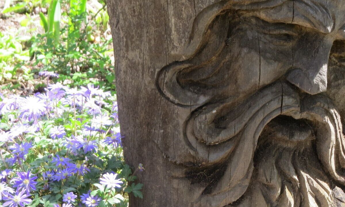 Photo of Others in Tidioute