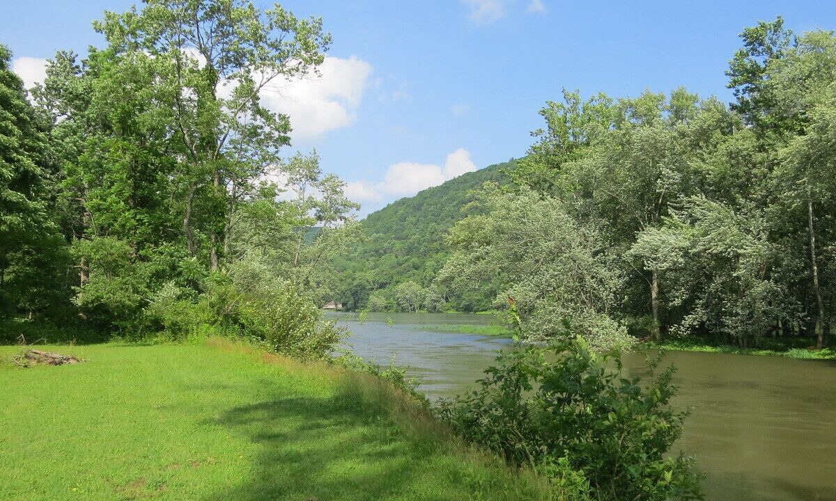 Photo of Others in Tidioute