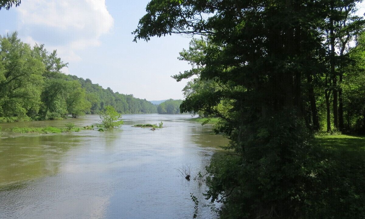 Photo of Others in Tidioute