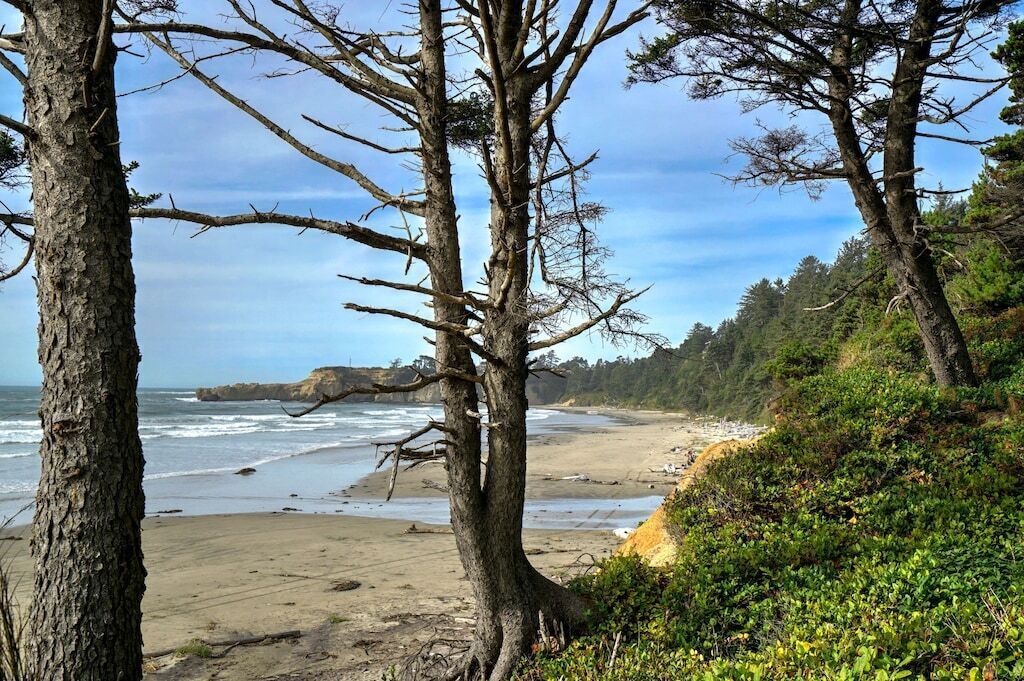 Photo of Others in Otter Rock