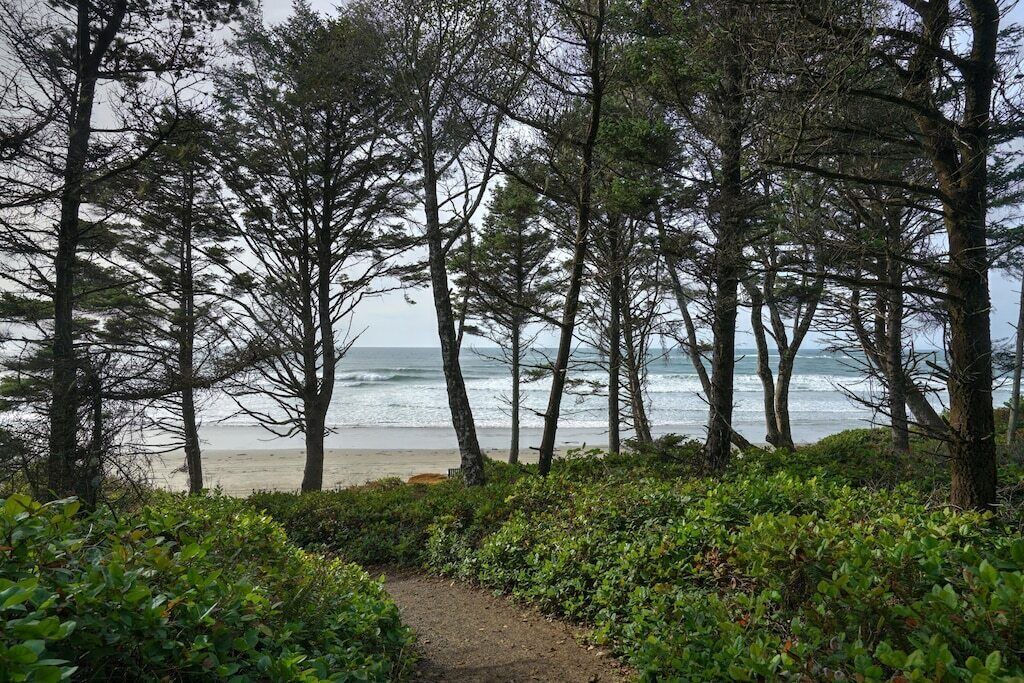 Photo of Others in Otter Rock