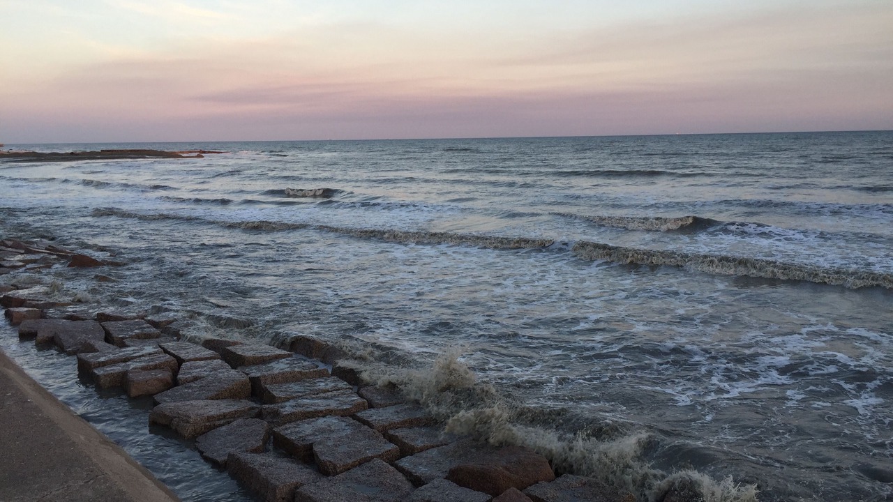Photo of Others in Galveston