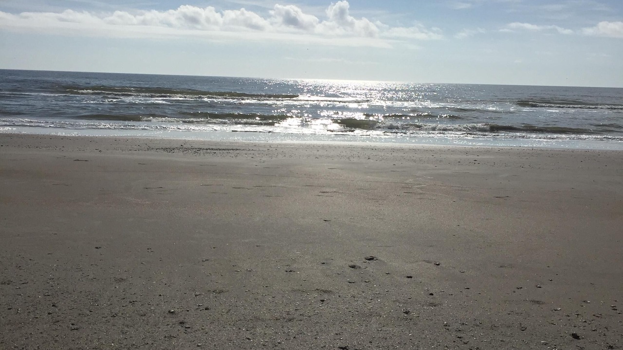 Photo of Others in Galveston