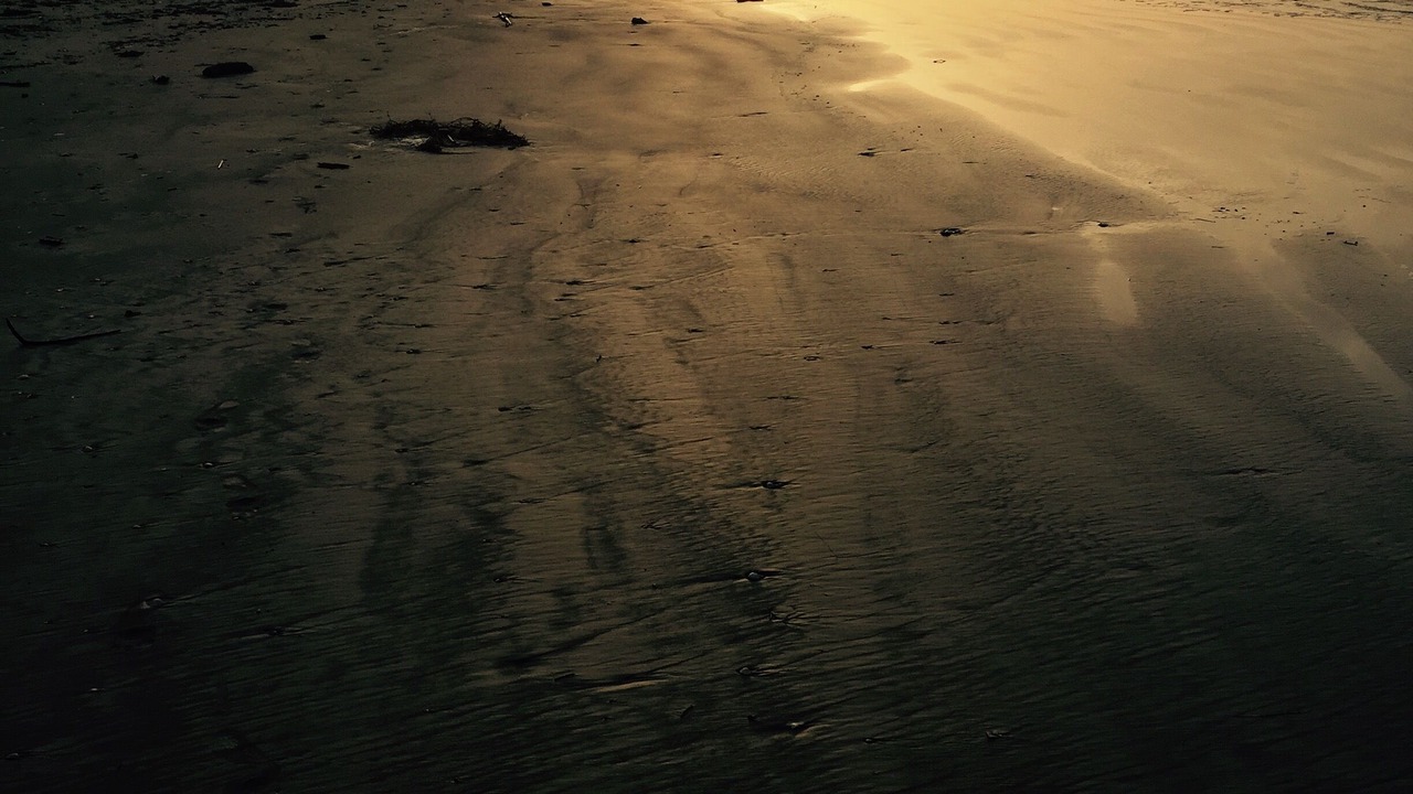 Photo of Others in Galveston
