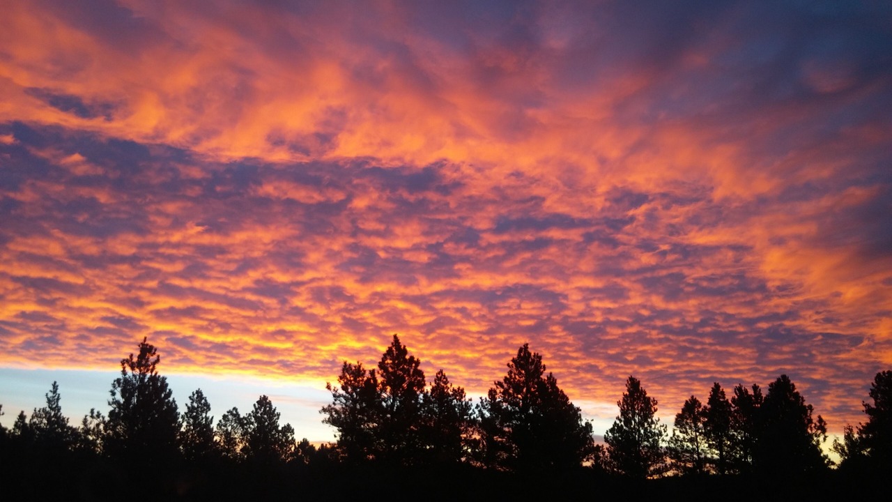 Photo of Others in Hot Springs