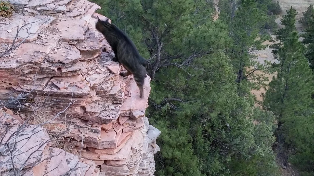 Photo of Others in Hot Springs