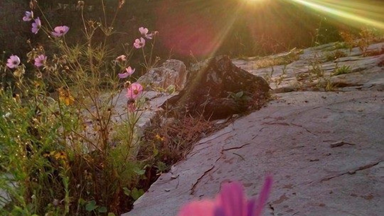 Photo of Others in Hot Springs