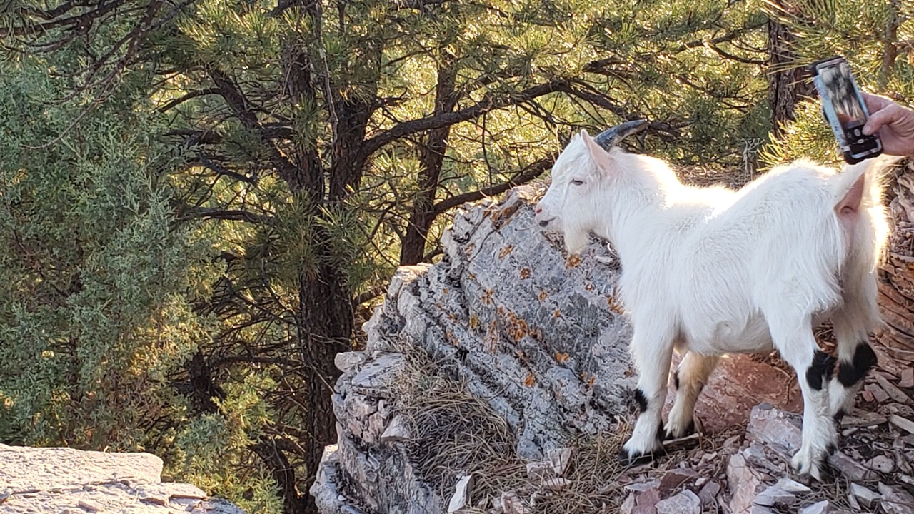 Photo of Outdoor in Hot Springs