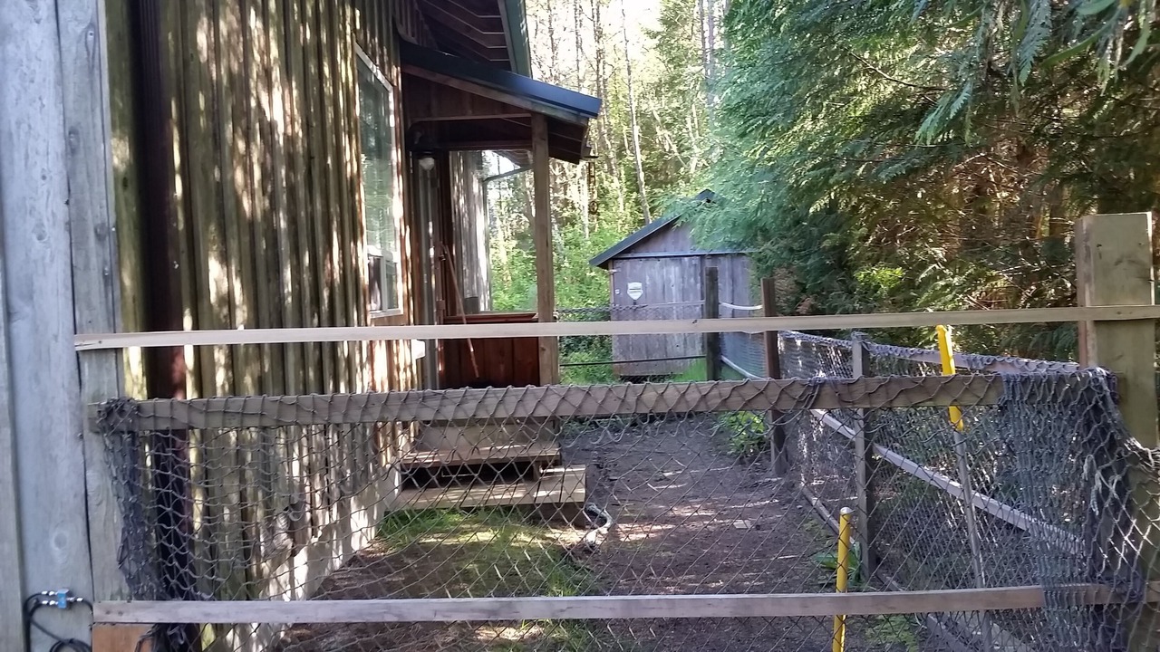 Photo of Others in Grayland