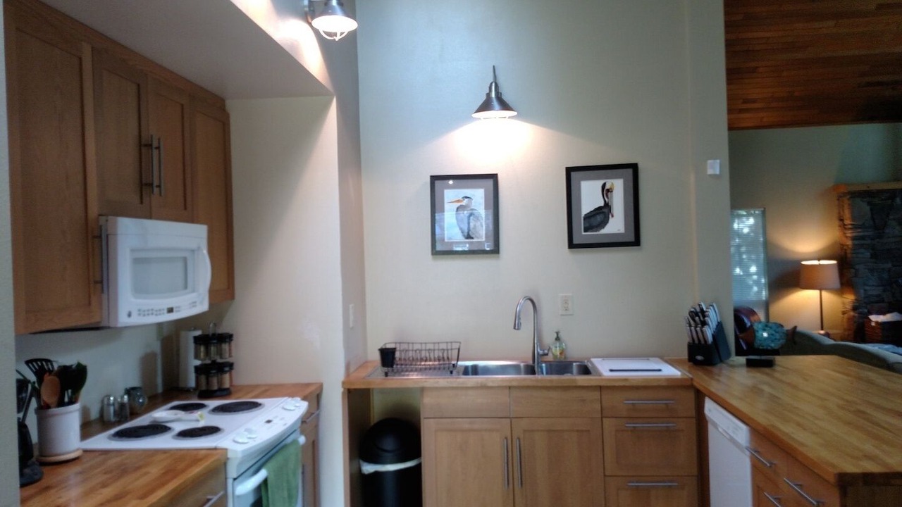 Photo of Others in Grayland