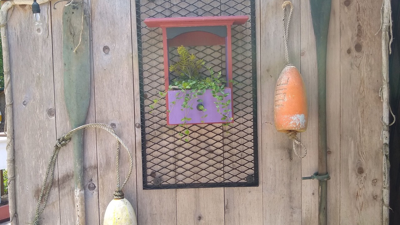 Photo of Outdoor in Grayland