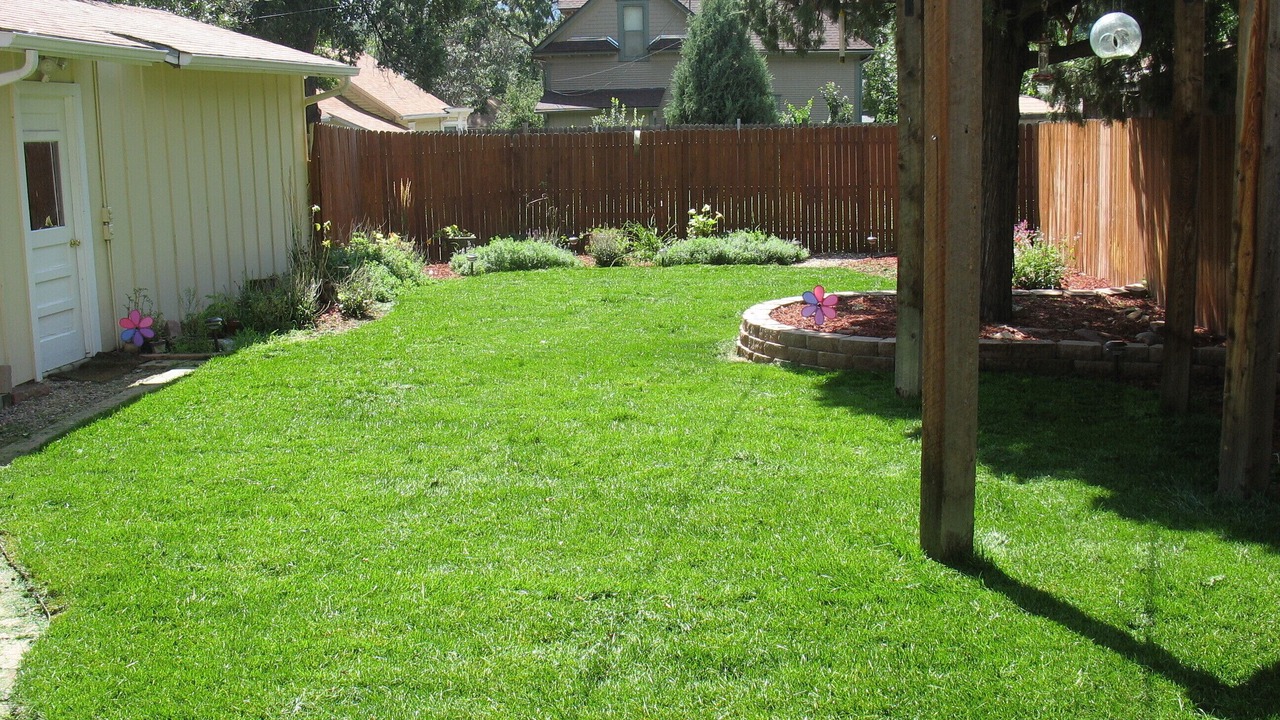 Photo of Outdoor in Colorado Springs