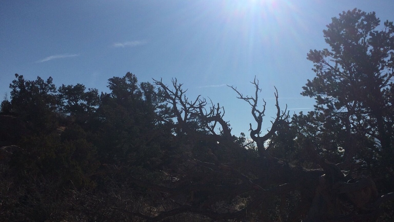 Photo of Others in Colorado Springs