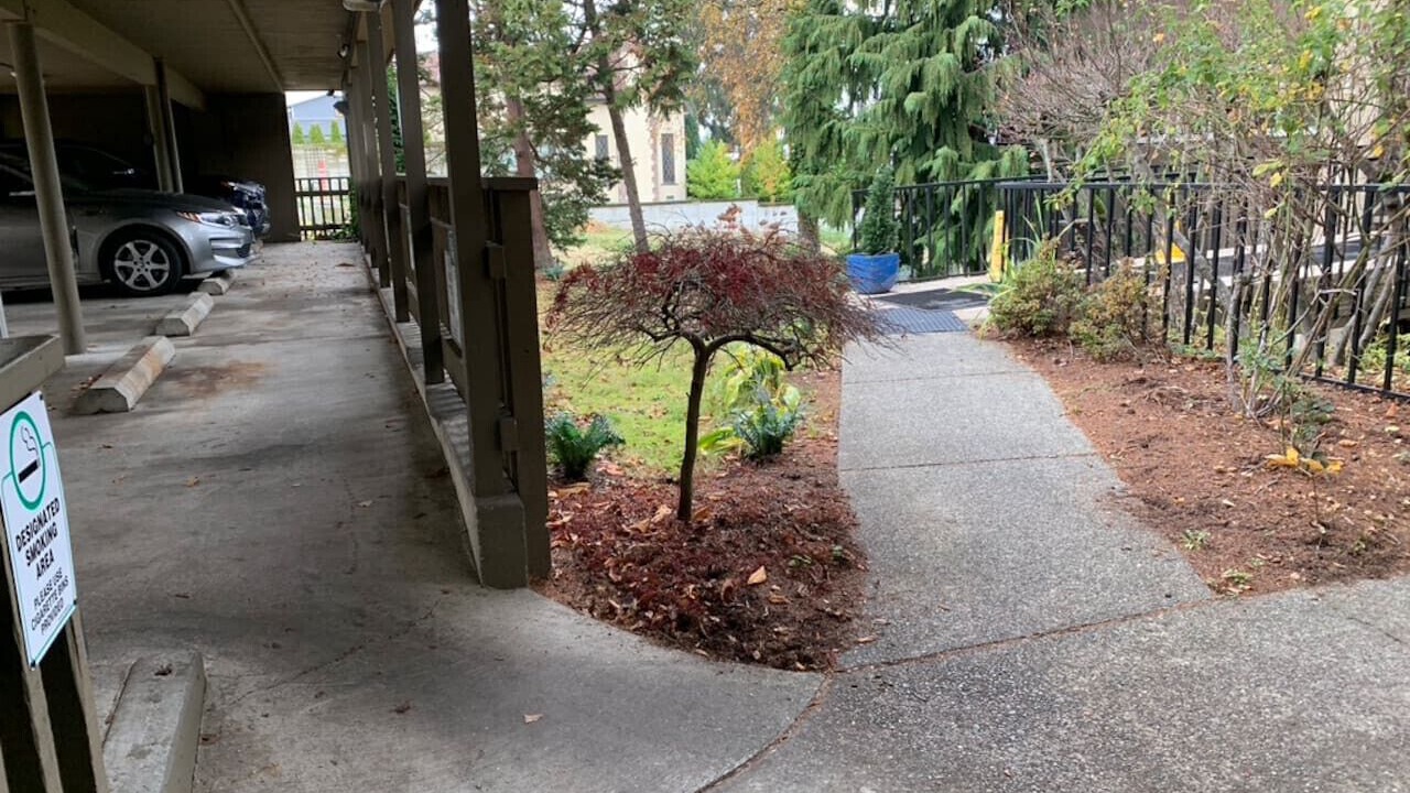 Photo of Outdoor in North End