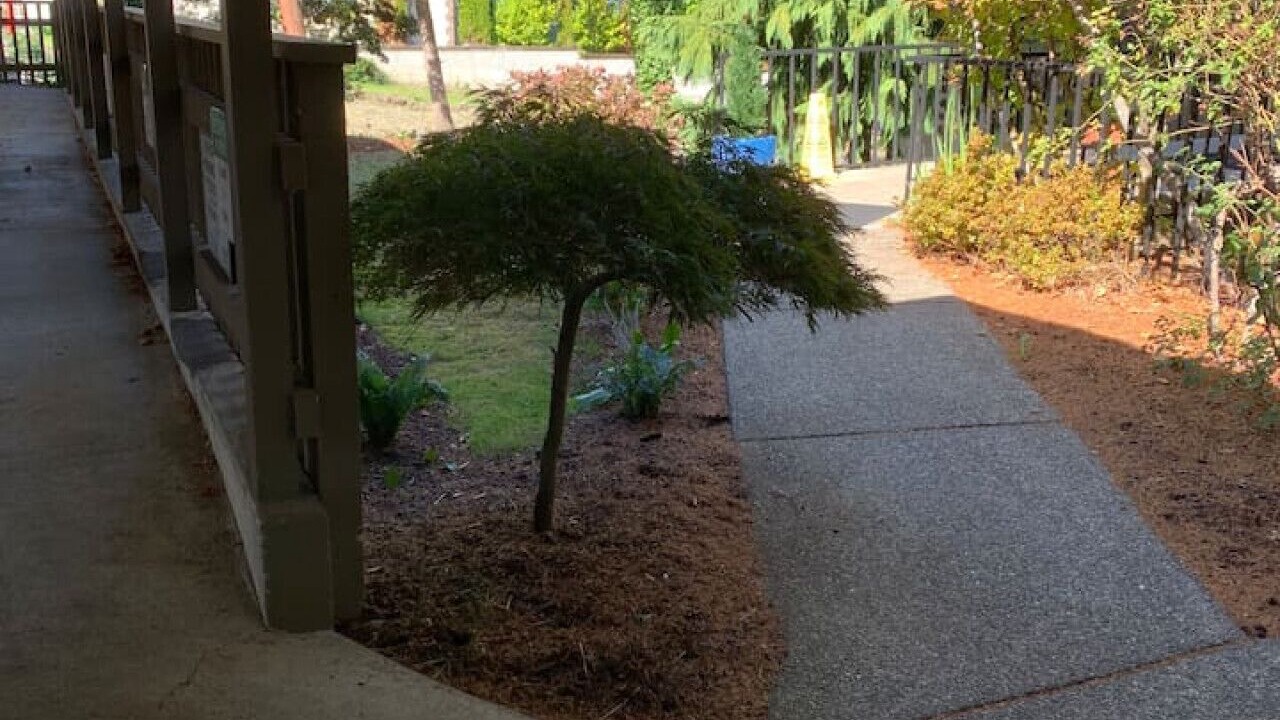 Photo of Outdoor in North End