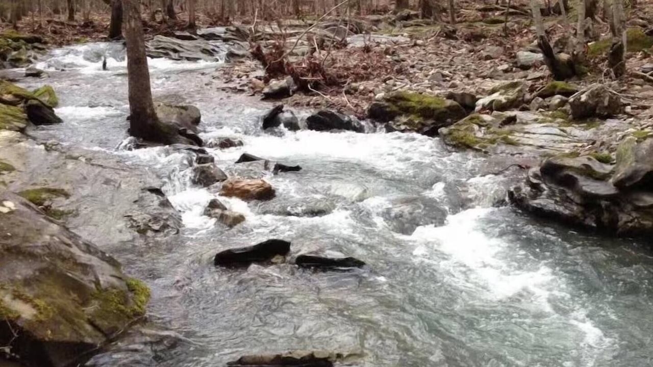 Photo of Others in Broken Bow