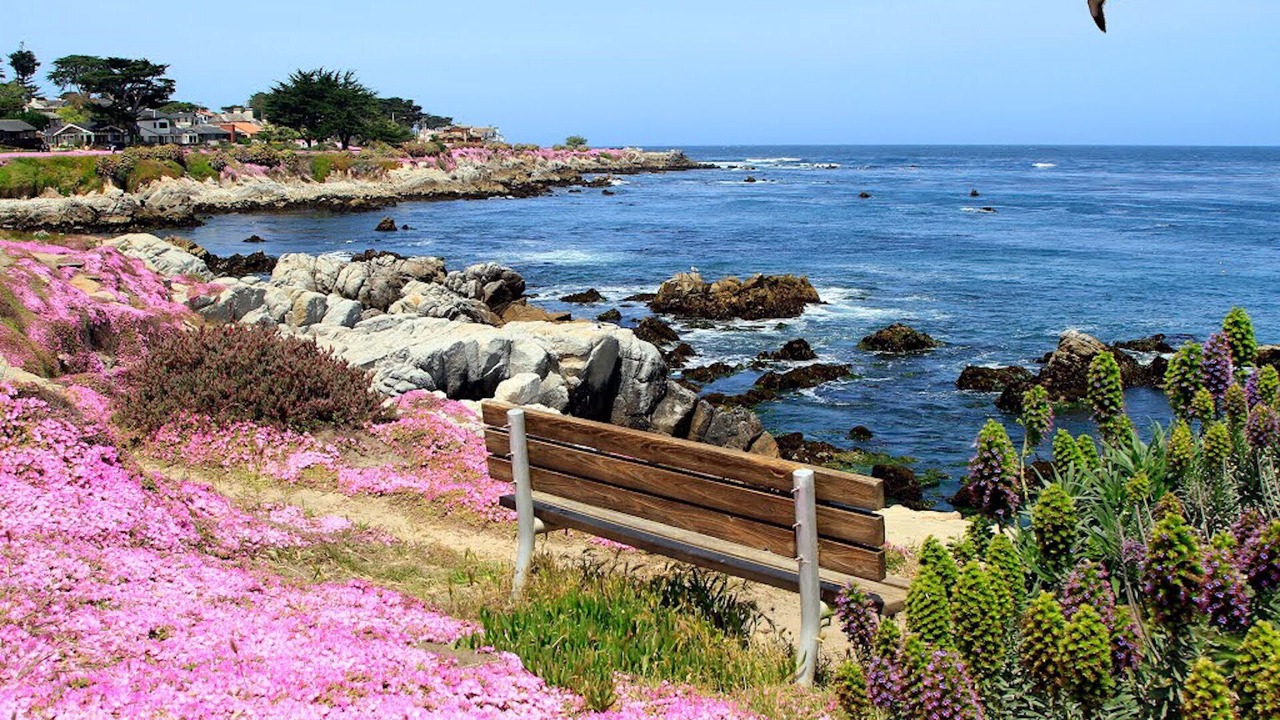 Photo of Others in Pacific Grove