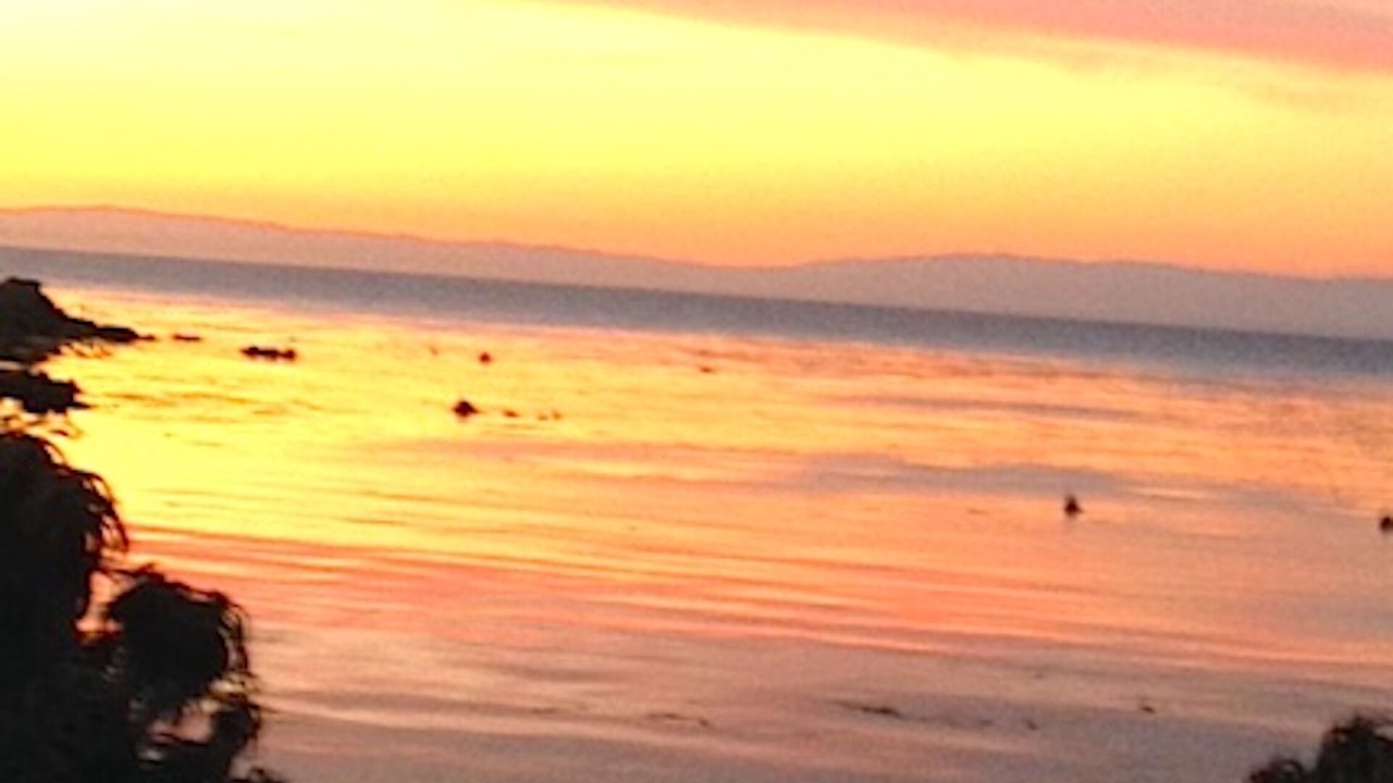 Photo of Others in Pacific Grove