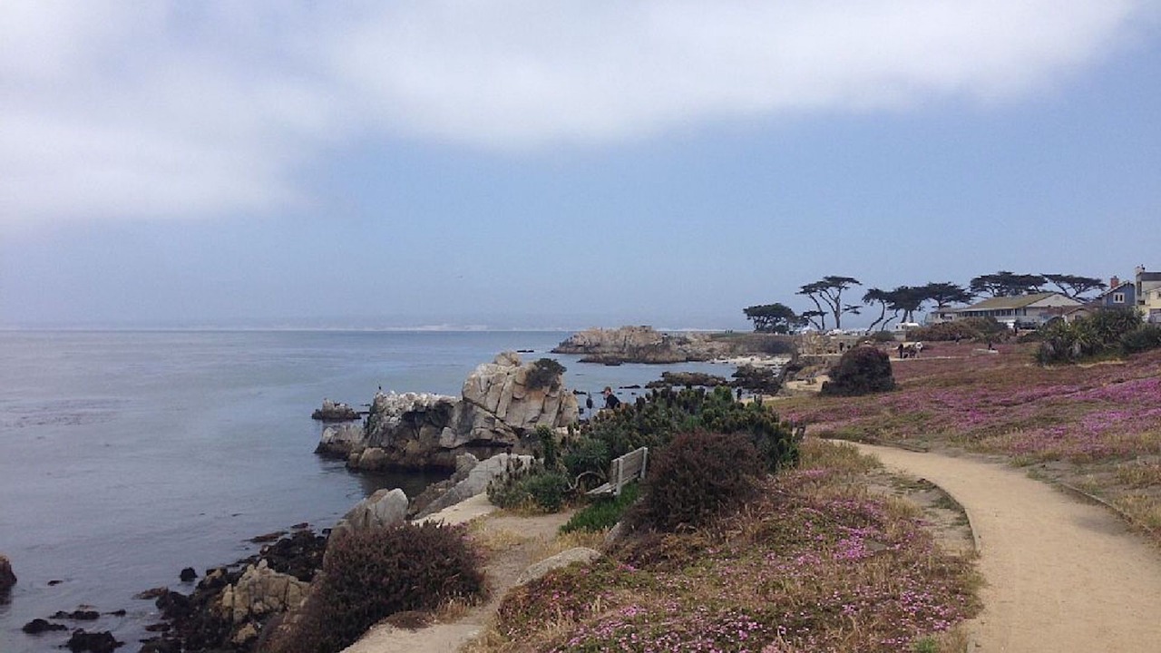 Photo of Others in Pacific Grove