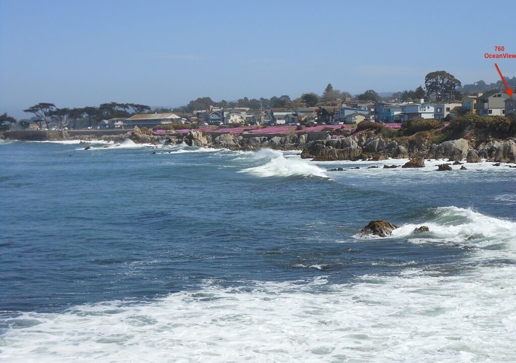 Photo of Others in Pacific Grove